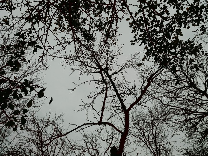 Cold fall