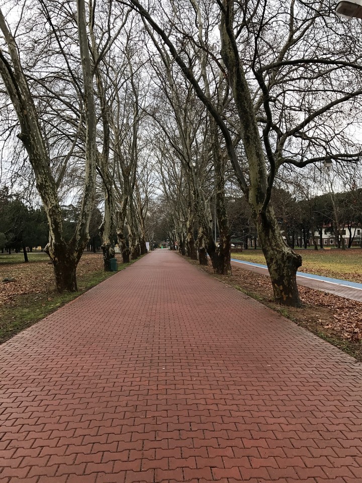 Gebze Teknik Üniversitesi
