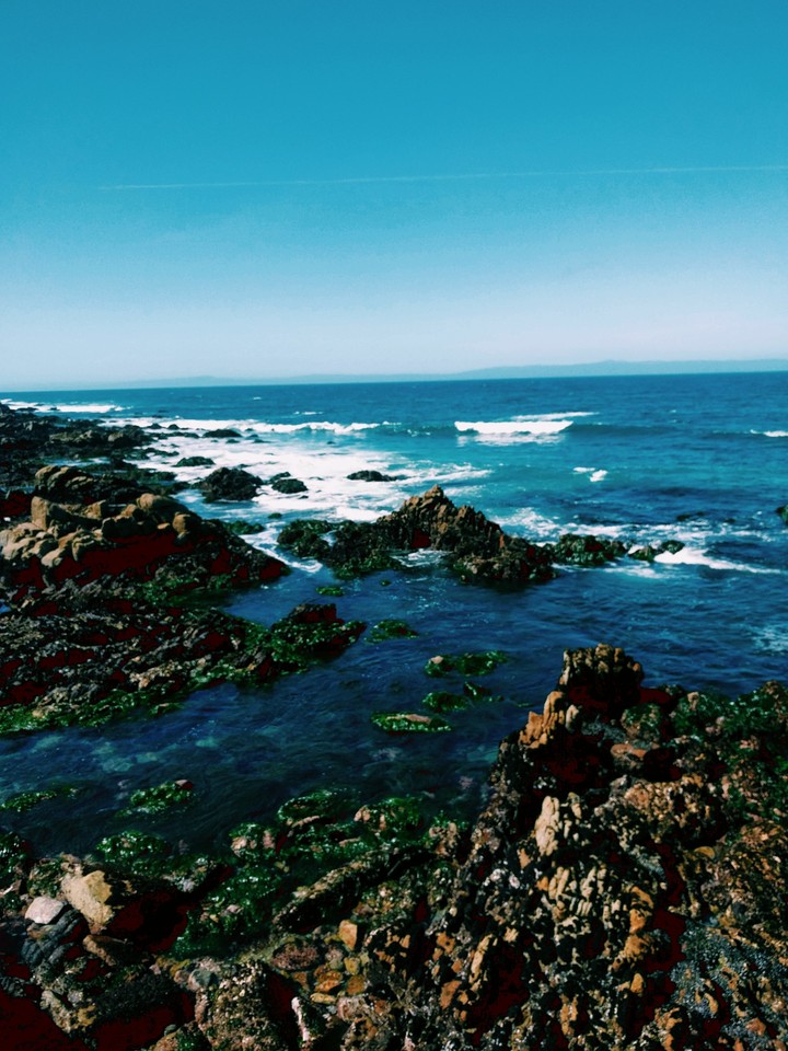 Monterey