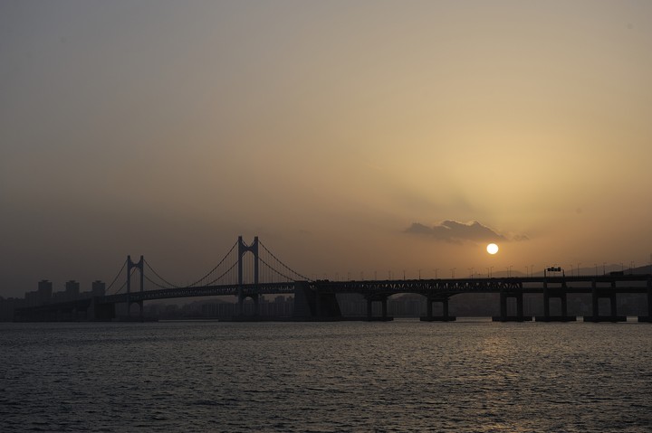Scenics