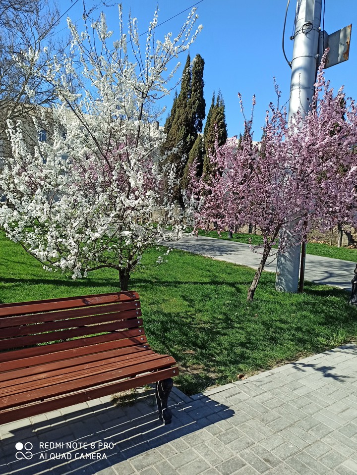 spring