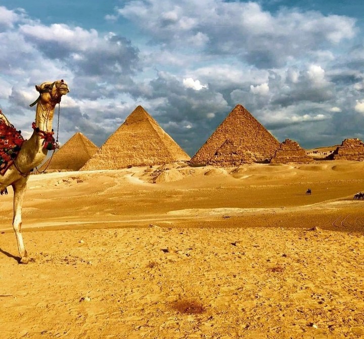 Welcome to Arabia .