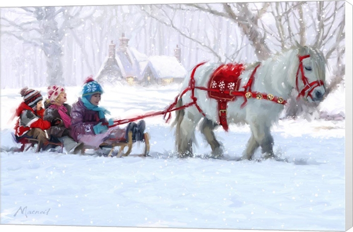 Winter ride pony