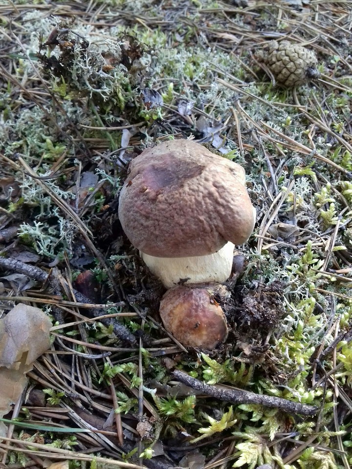 ?