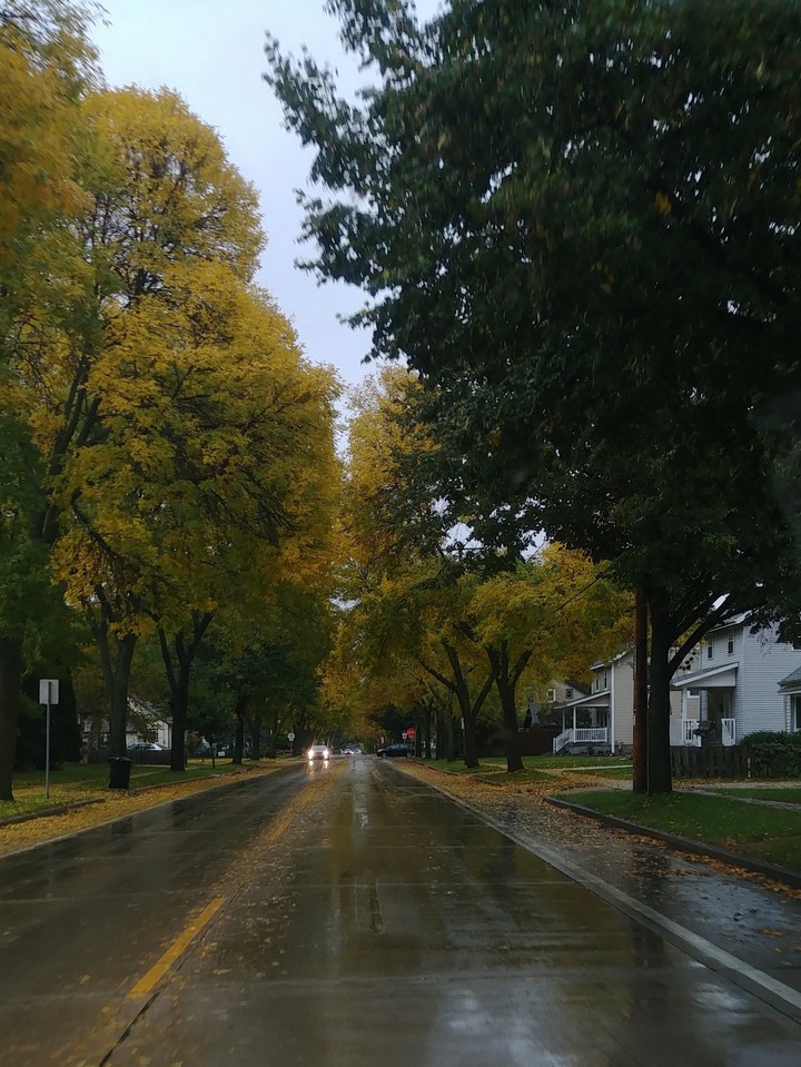 Autumn on Fremont