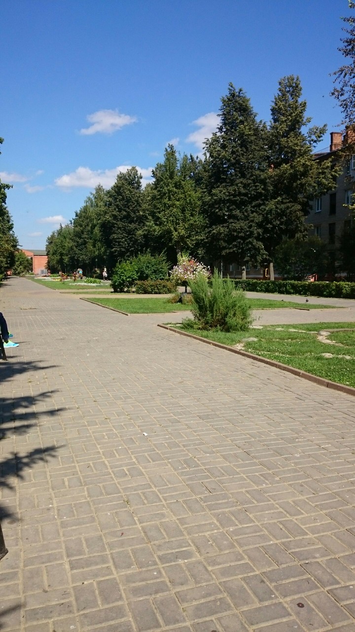 park