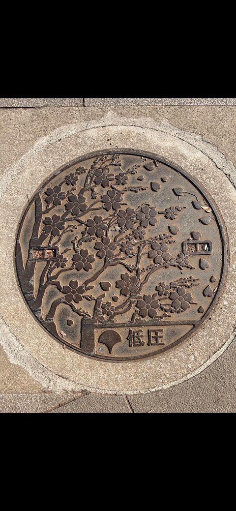 тапети soil, tokyo