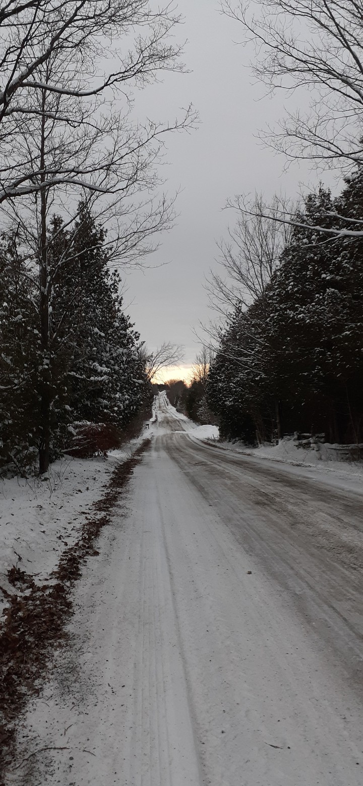 Winter
