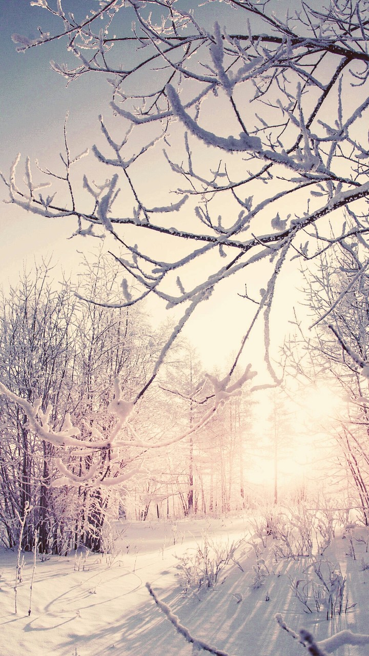 Snow