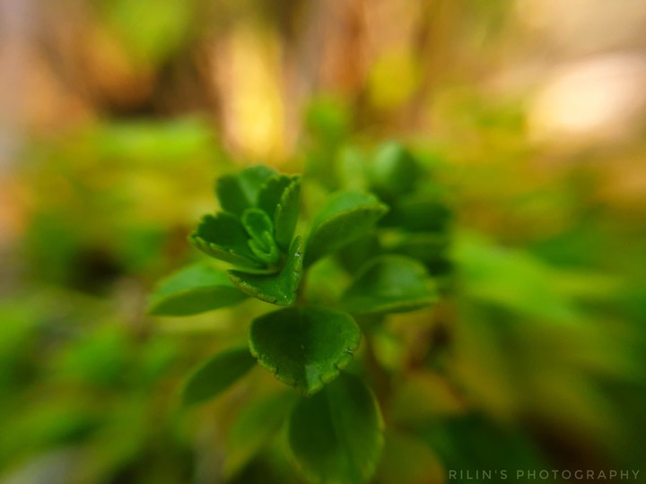 My photography