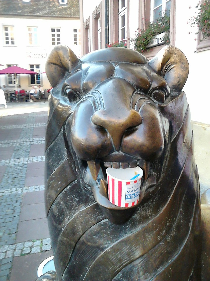 lion