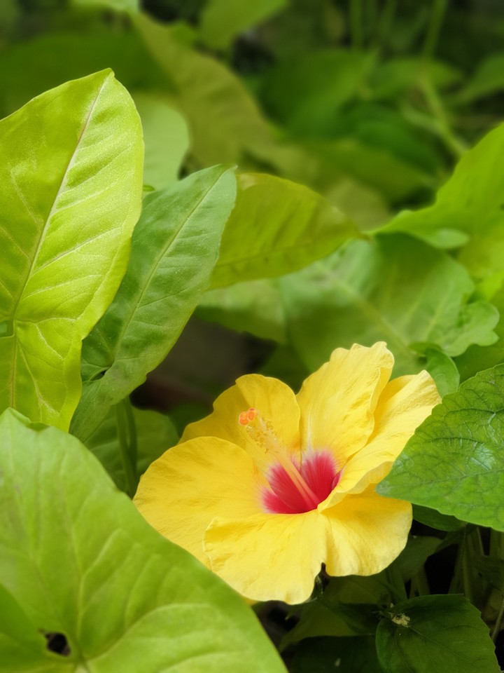 Fresh and Bright