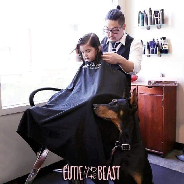 20082019