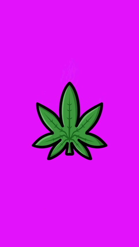 壁纸