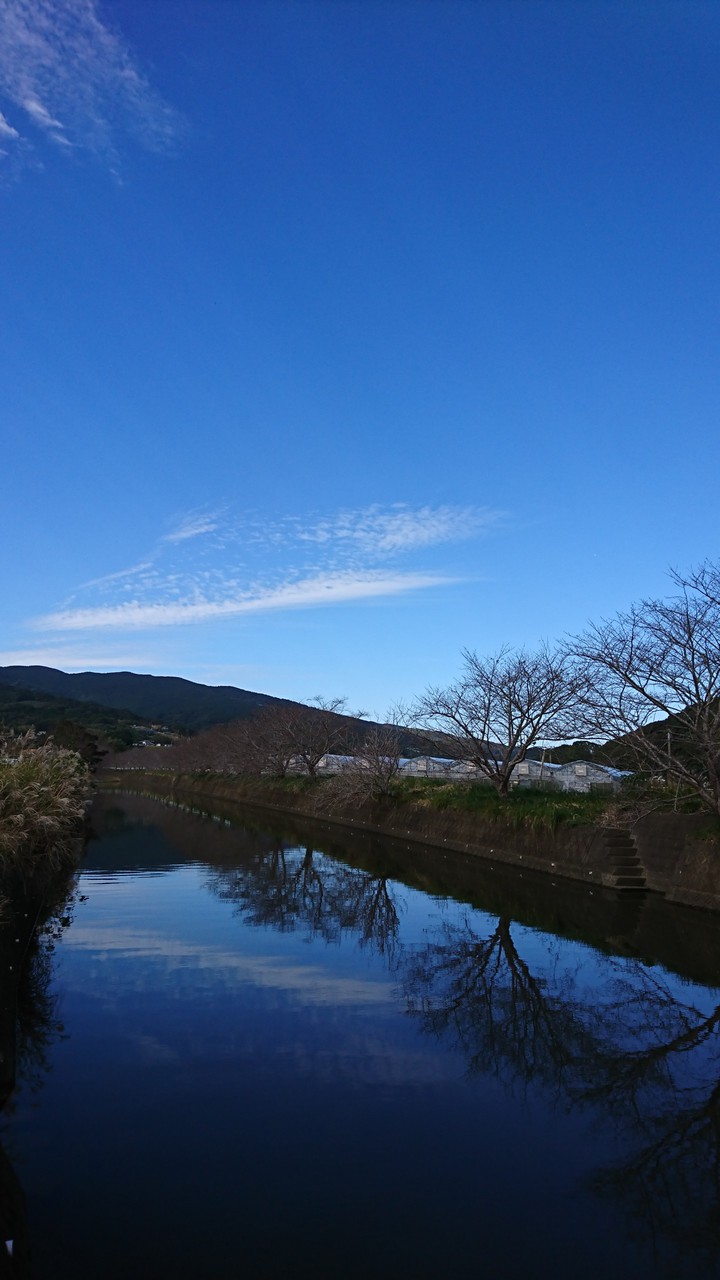 散歩