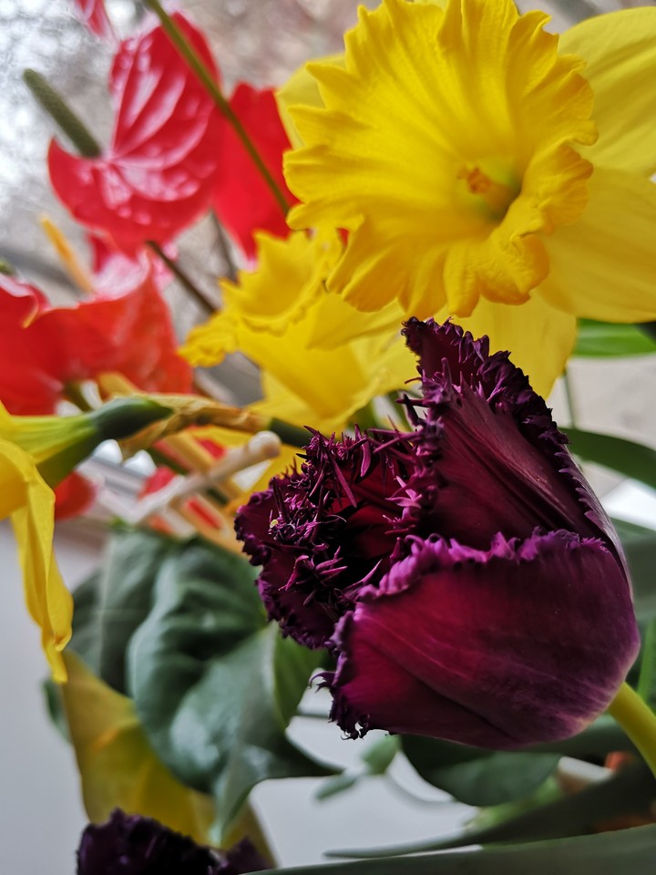 Flowers;)
