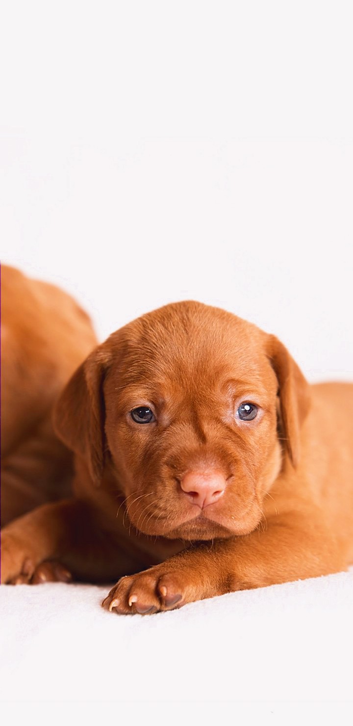 Cute & Innocent