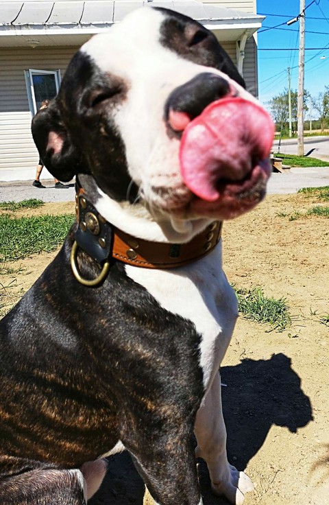 ozzy2