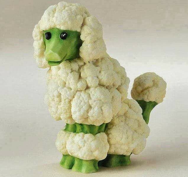 vegetable are beautiful ,