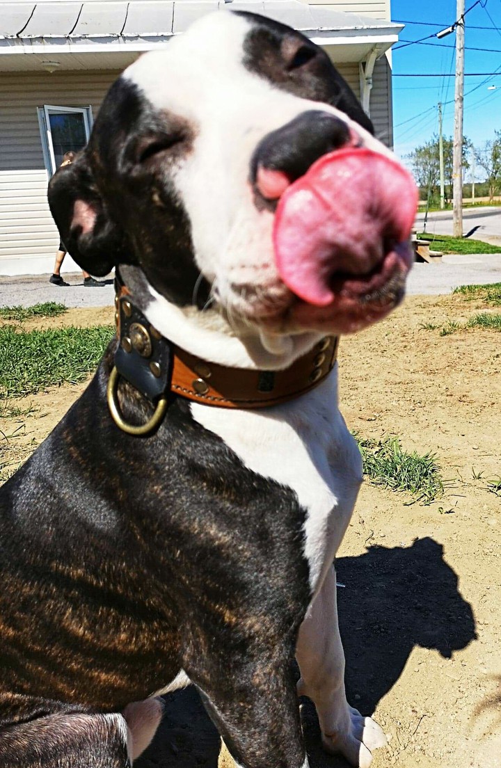 ozzy2