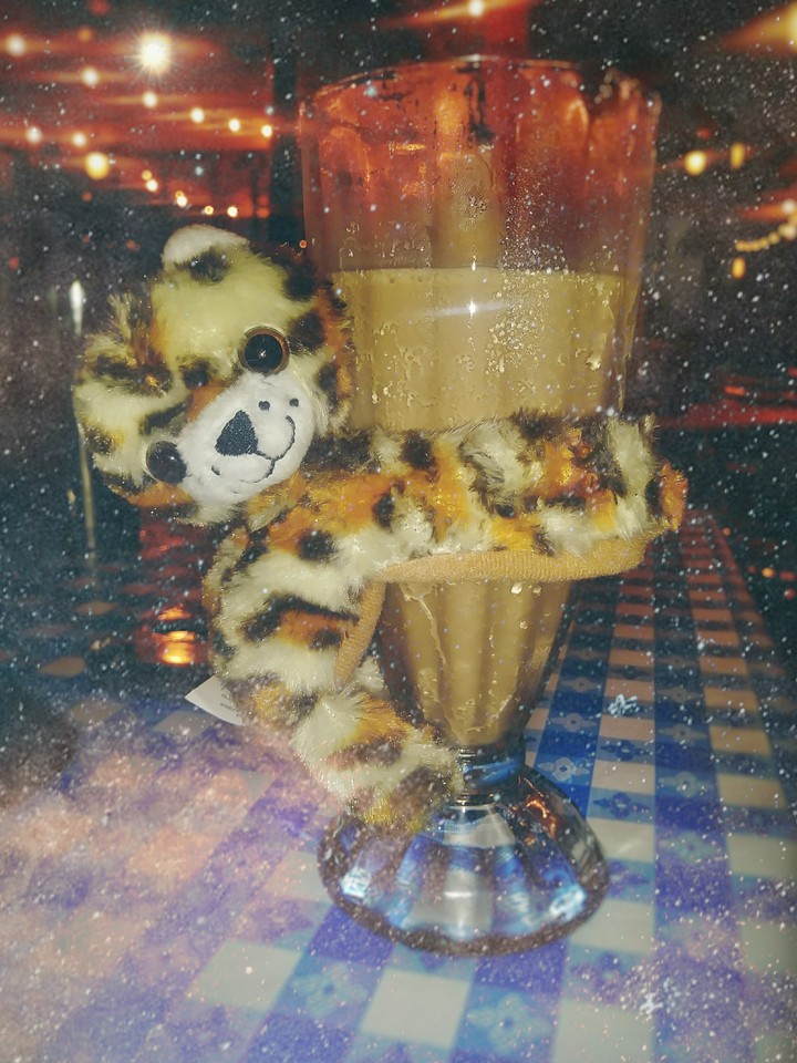 leopard on a malt