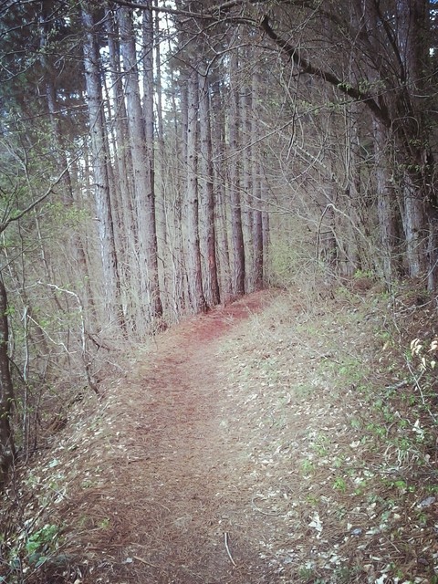 רקעים trail, path