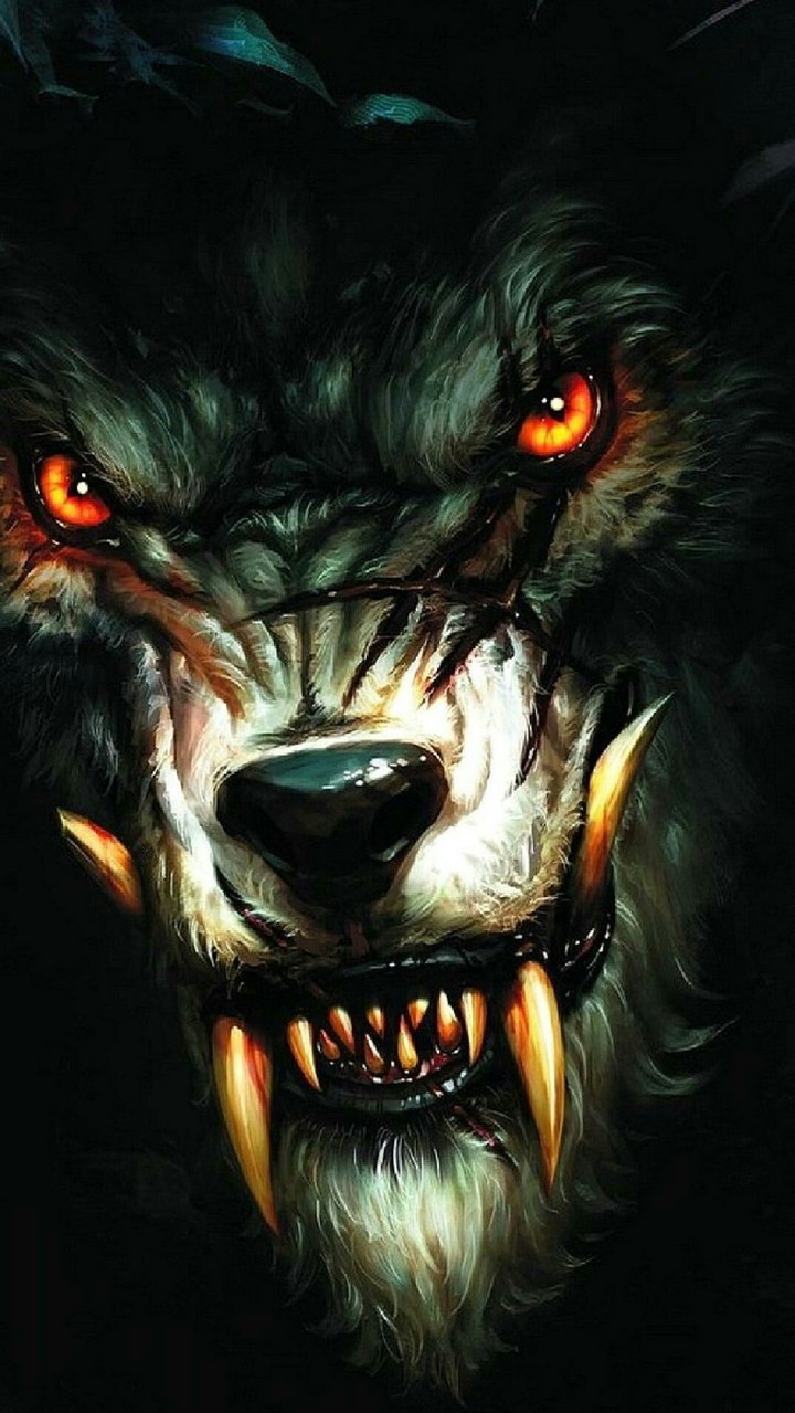 wolf