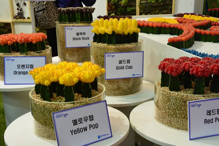 꽃박람회이미지