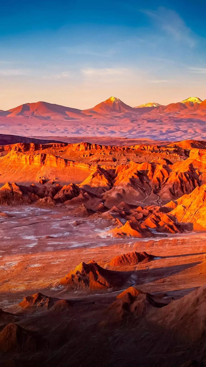 Interior Mars...