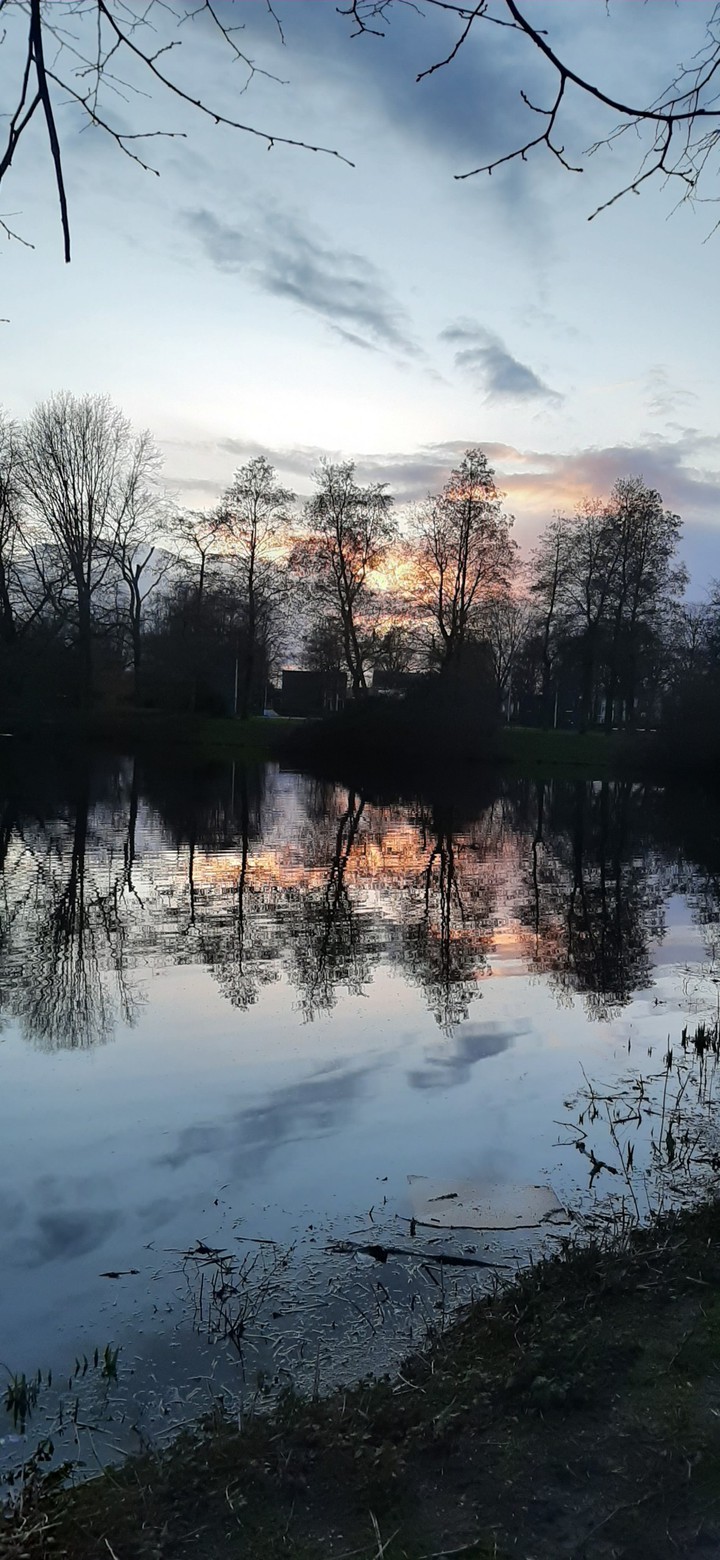 love reflections