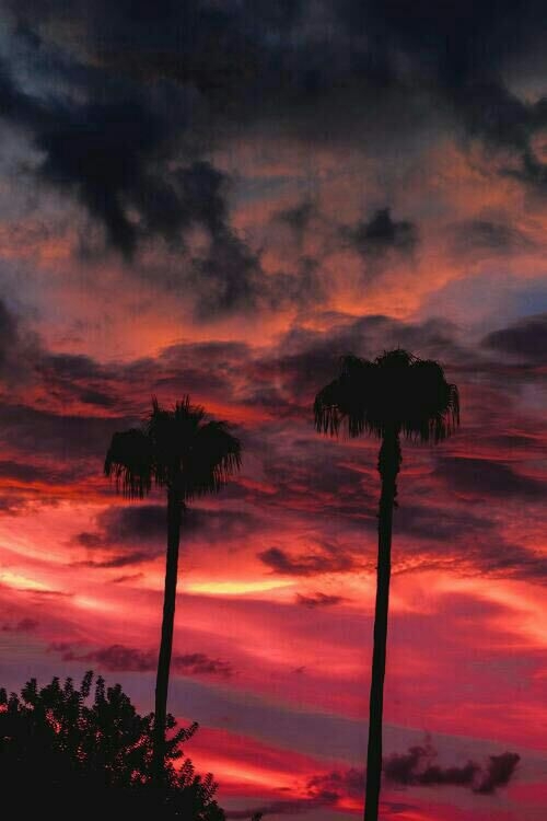 this time a red sky ... like it ?