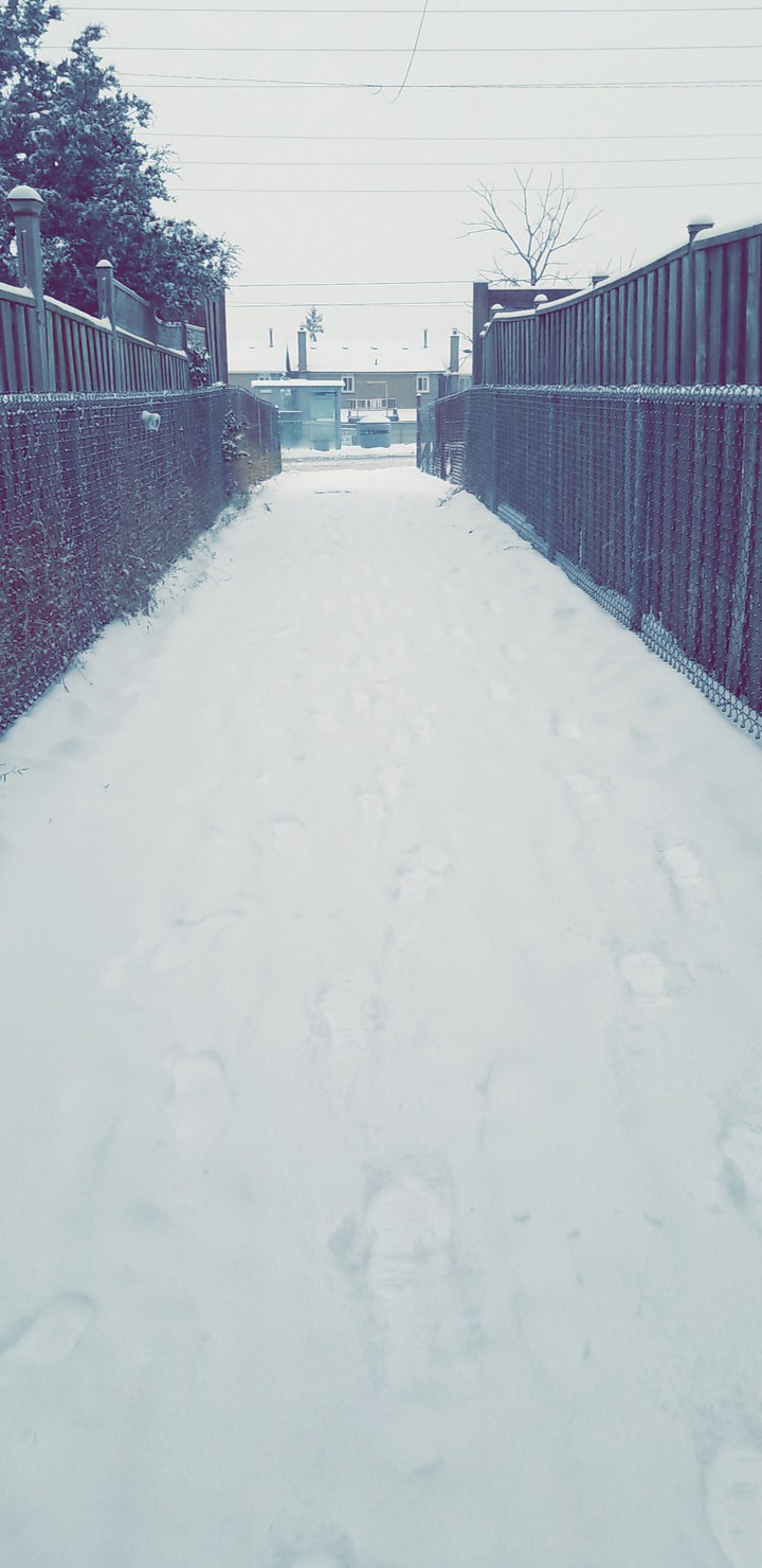 Pedestrian Way covered In Snow