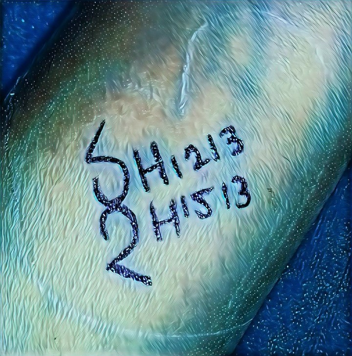 SH1213