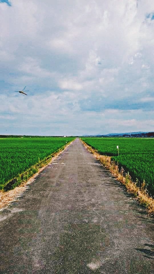 Agricultur