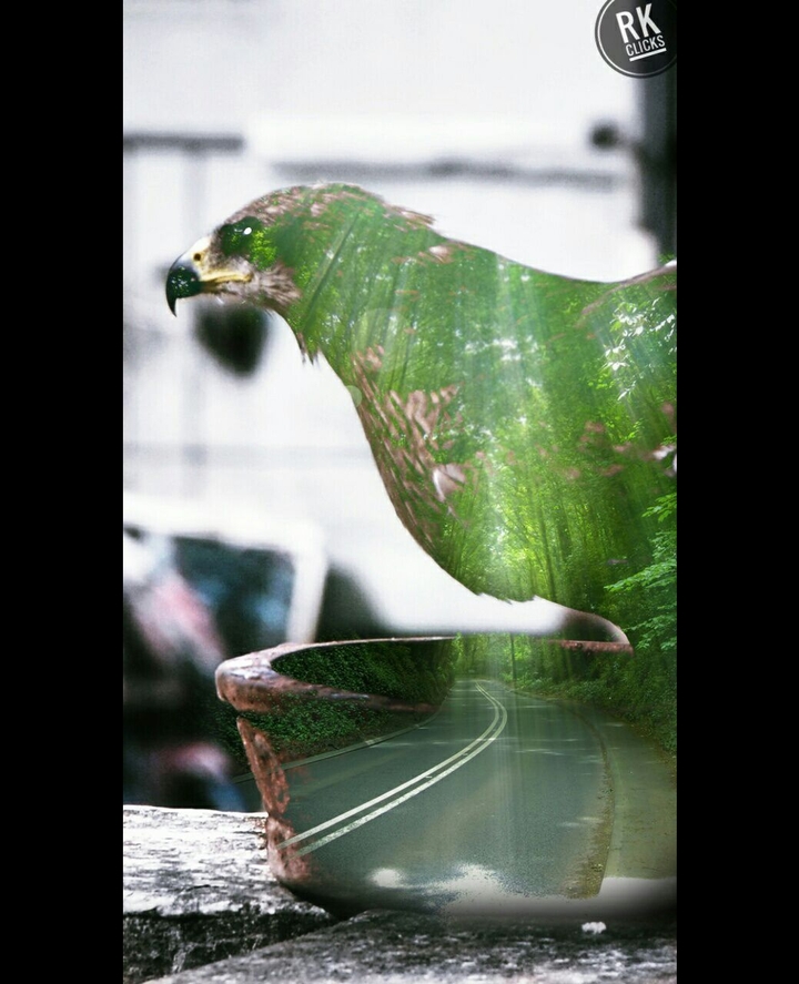 Double exposure