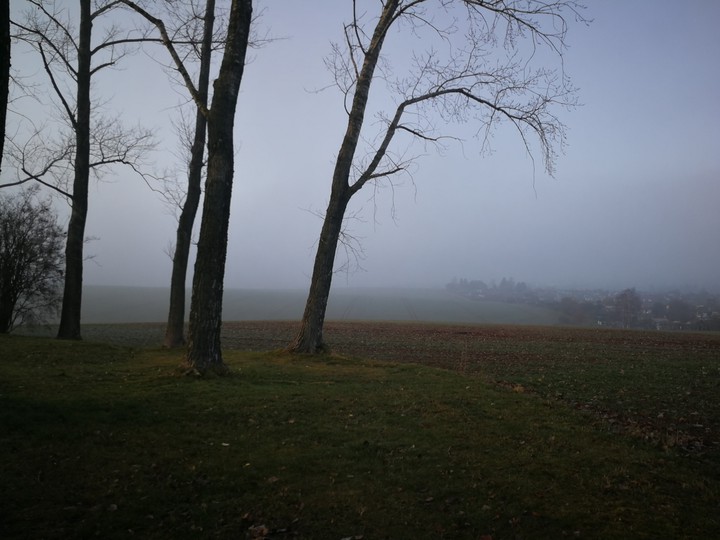 fog