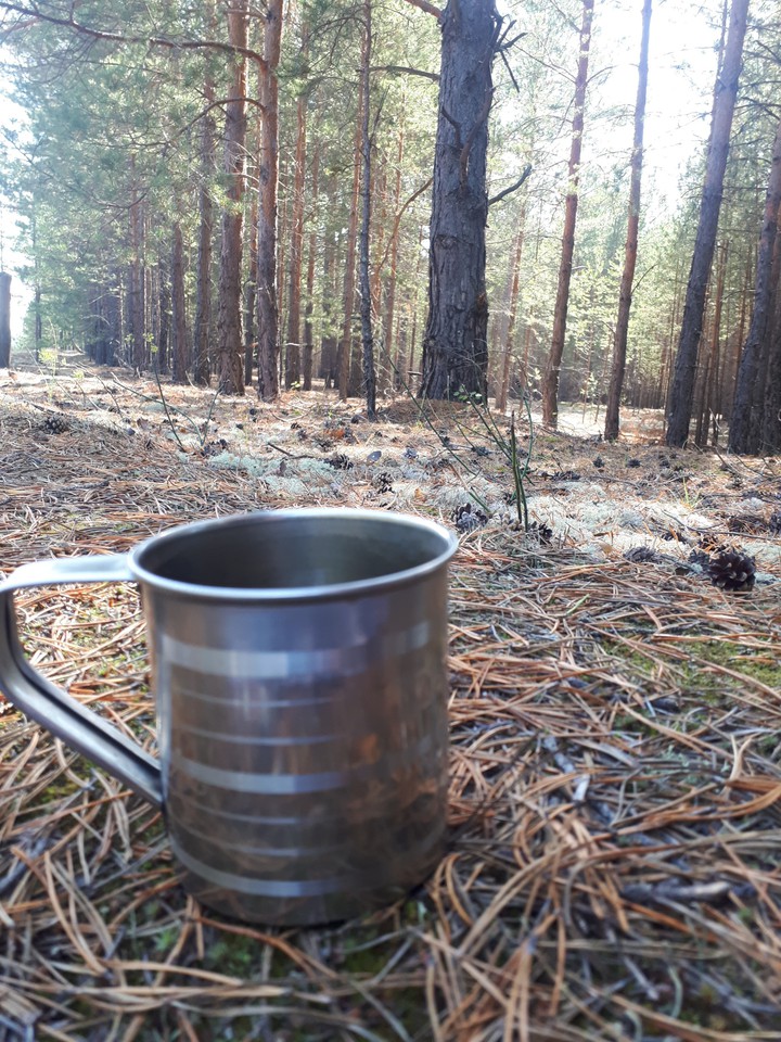 cup of tea