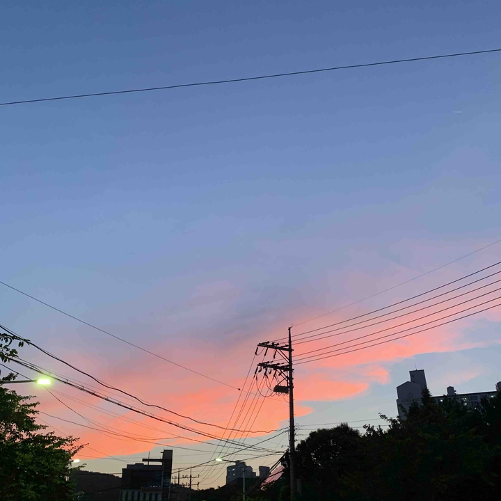 붉은 구름 (red cloud)