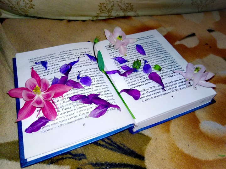 книга Цветаевой в цветах