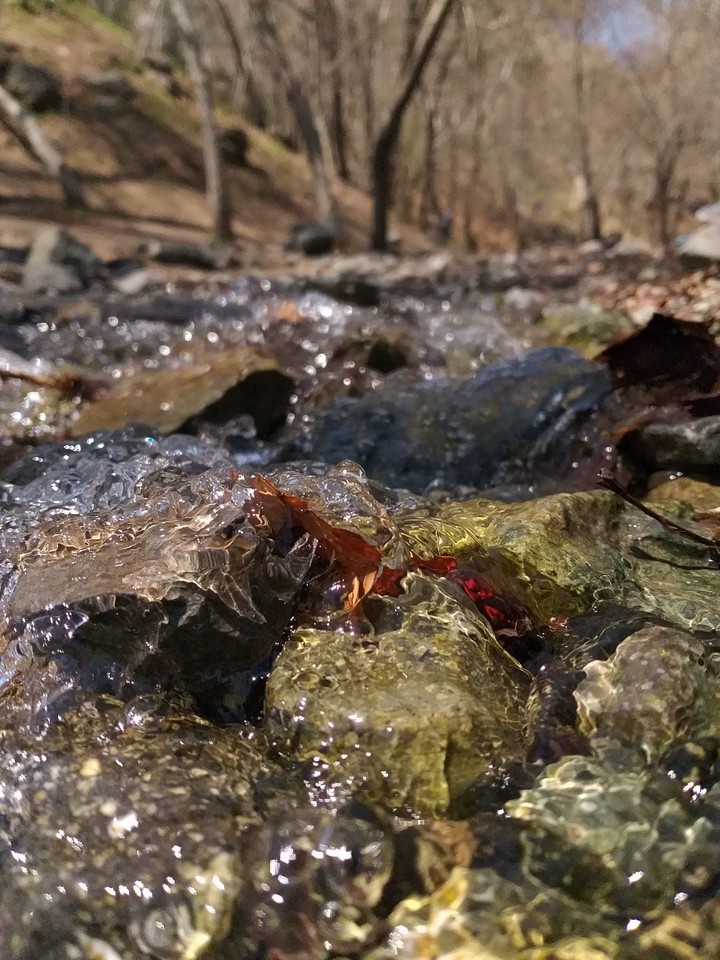 Small river