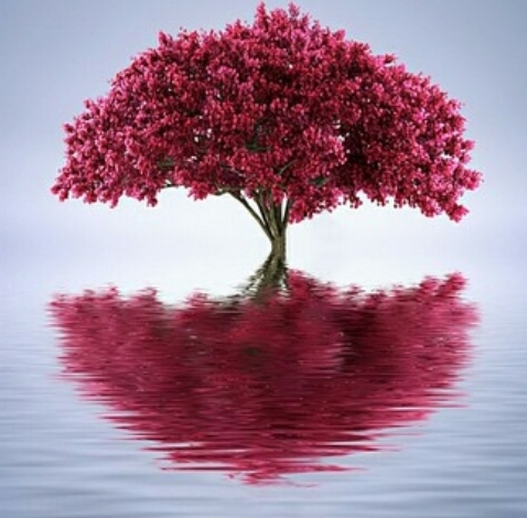 the tree of all life in light and in shadow parallel forever
