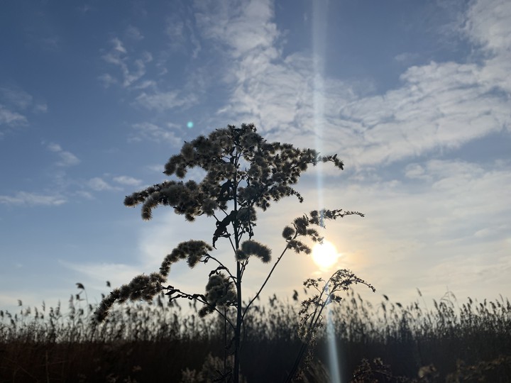 autumn day