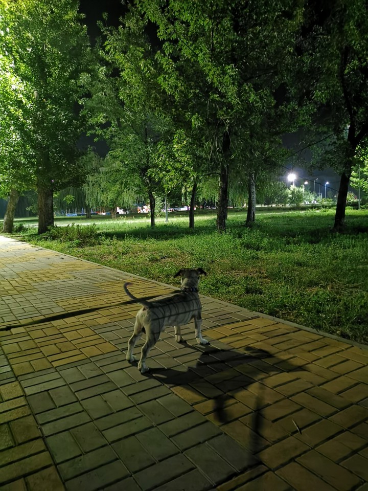 Друг