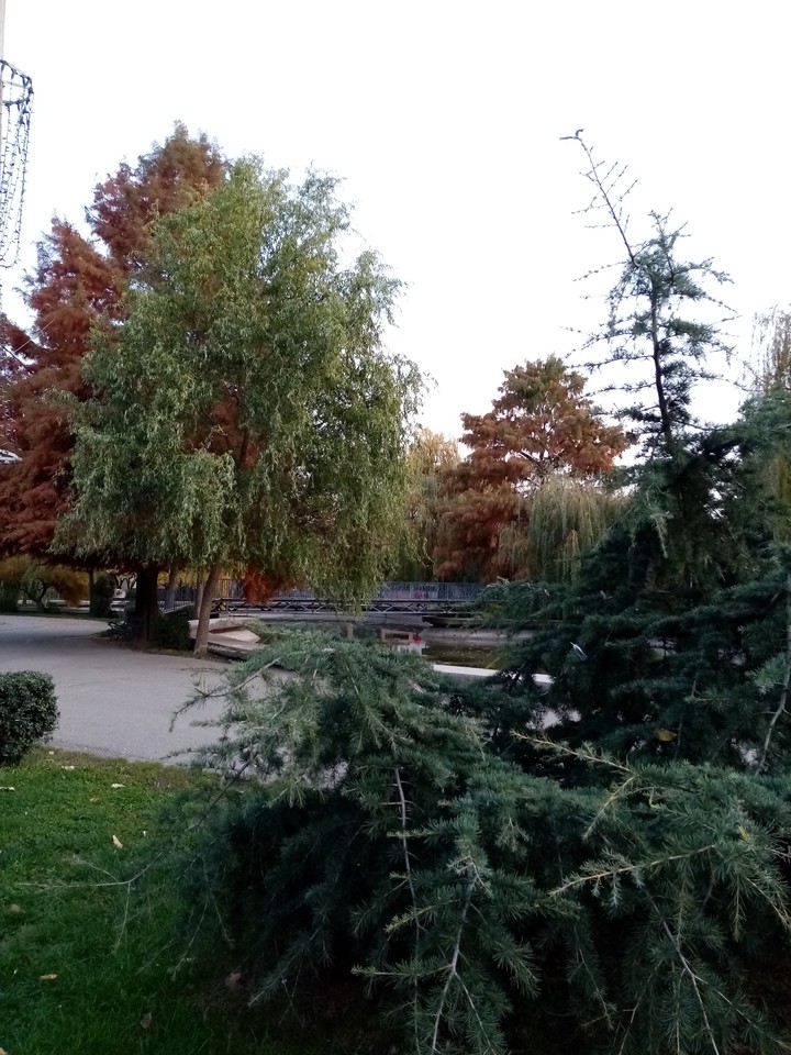 Park