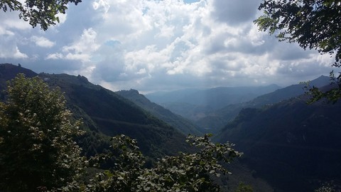 Village