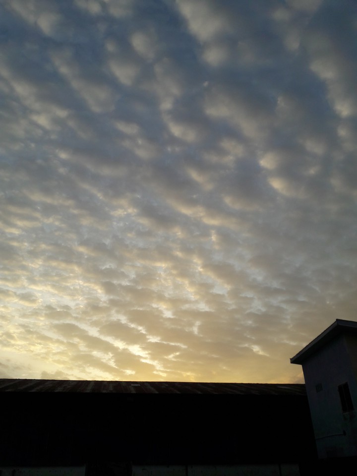 the sky