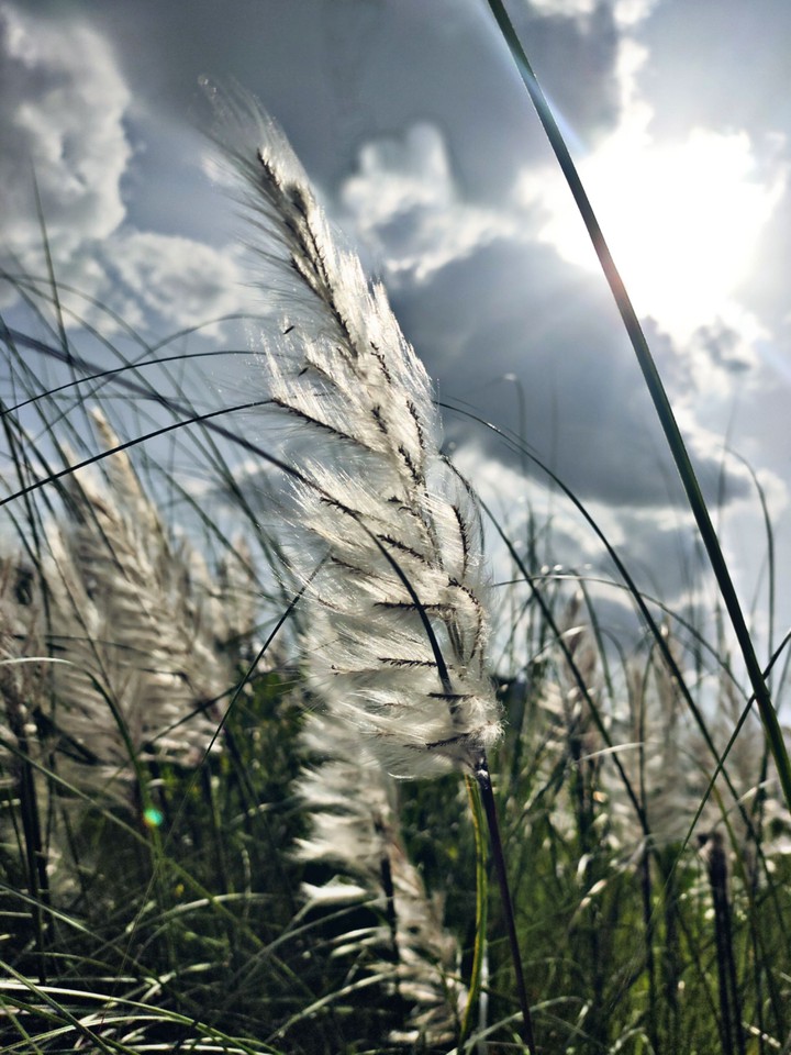 Beauty of nature