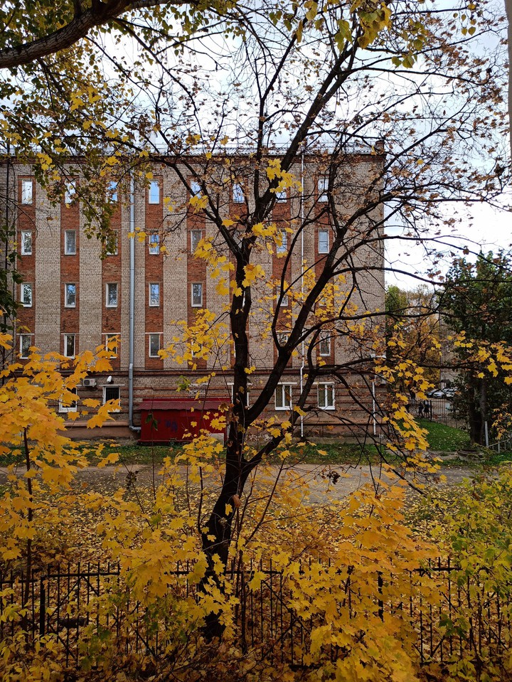 Autumn