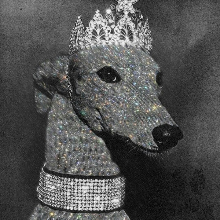 ~