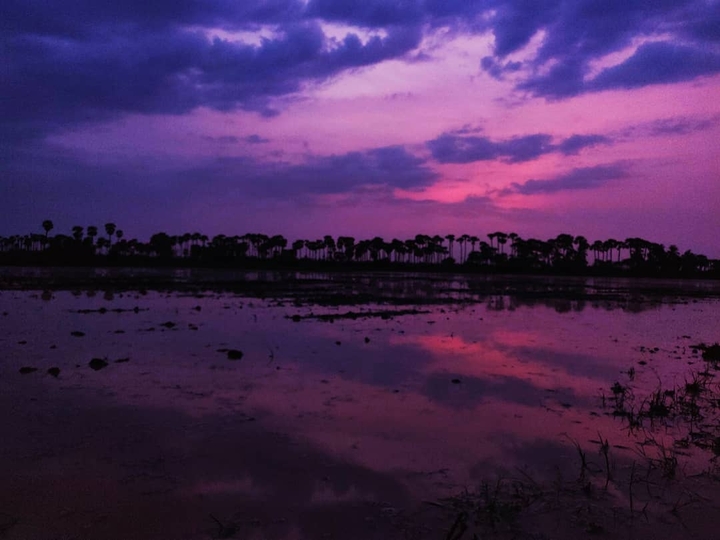 sunset